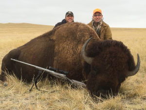 Wyoming Trophy Buffalo Hunts