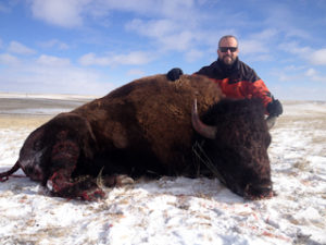 Wyoming Buffalo Hunt