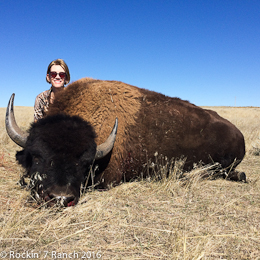 Wyoming Bison Hunting Lodge
