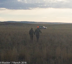 Wyoming Guided Hunts
