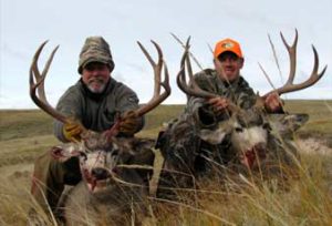 Wyoming Mule Deer Hunting