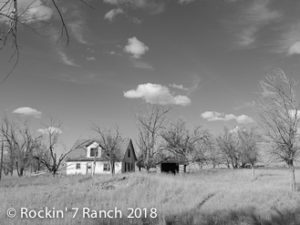 Old Homestead