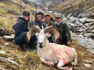 Dall Sheep Hunt Alaska Rockin' 7 Ranch